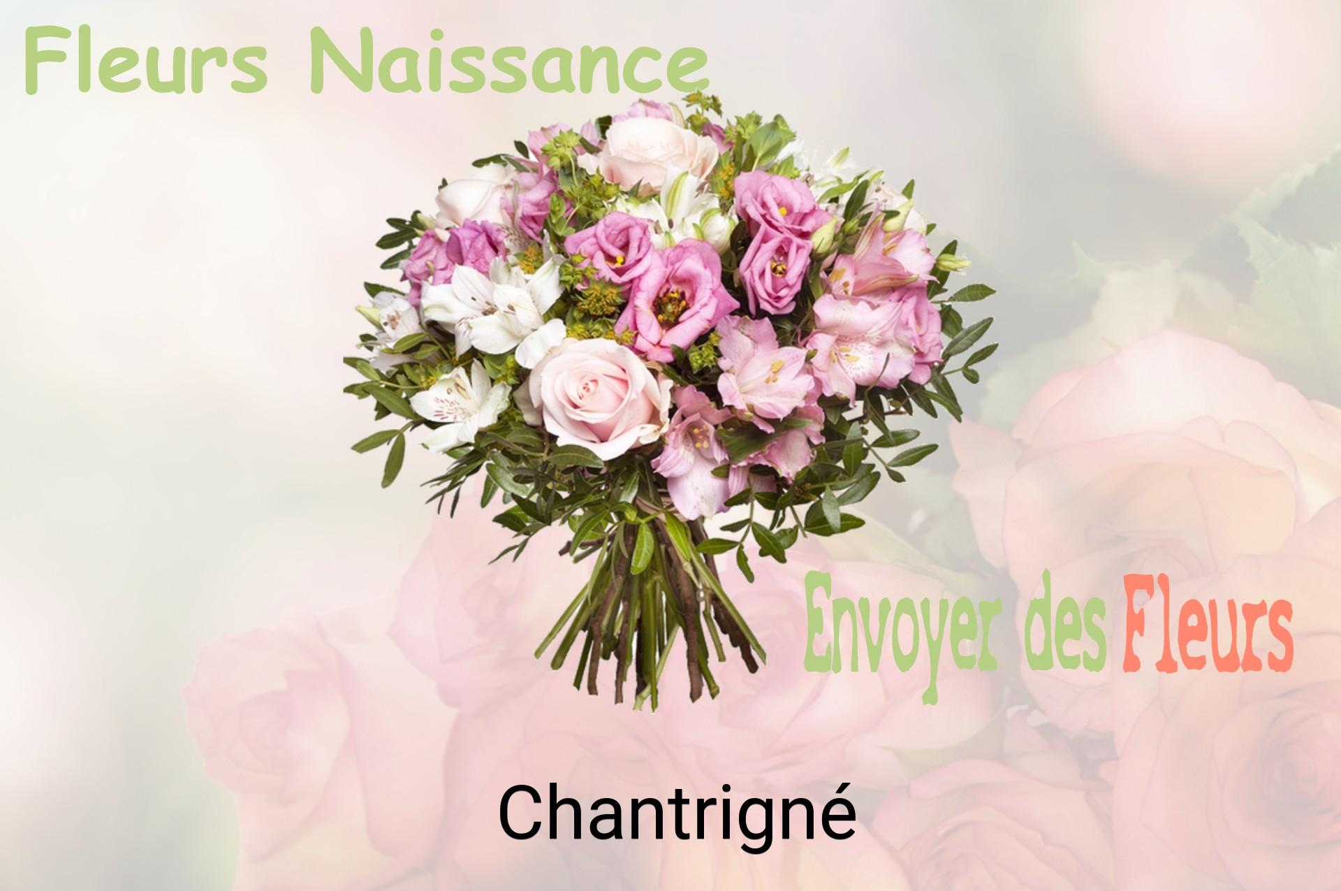 Bouquet de fleurs de naissance livré à Chantrigné