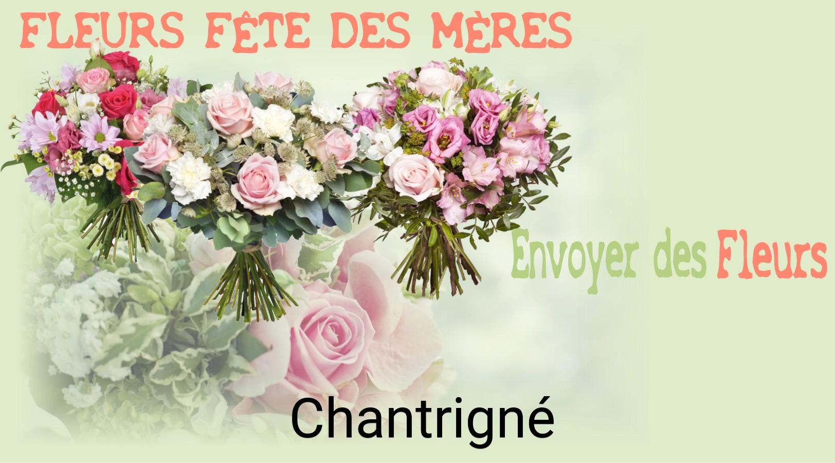 Bouquet de Fête des Mères livré à Chantrigné
